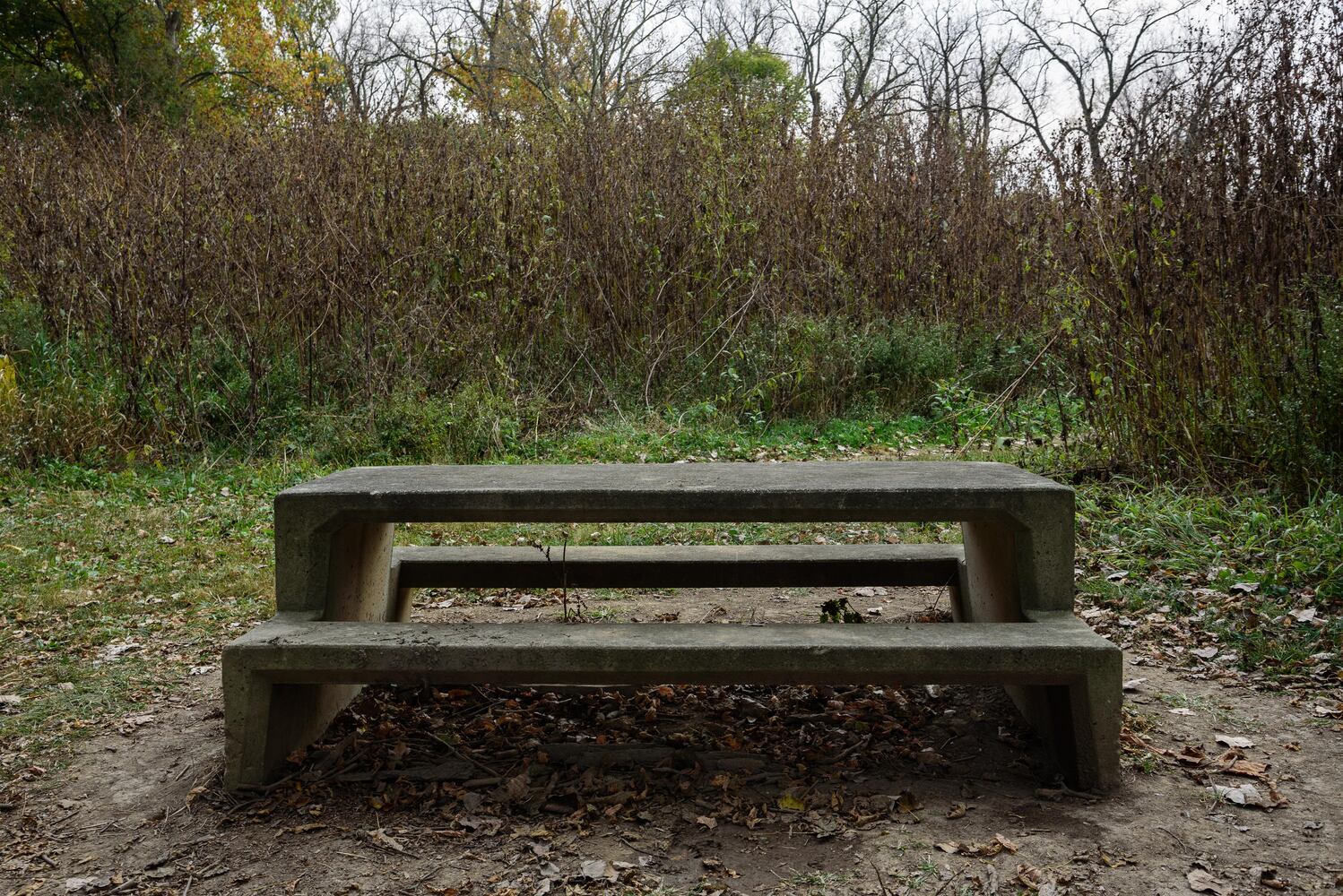 Huffman MetroPark in the fall