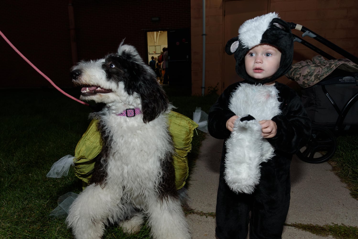 PHOTOS: Did we spot you at the 12th annual Fairborn Halloween Festival?