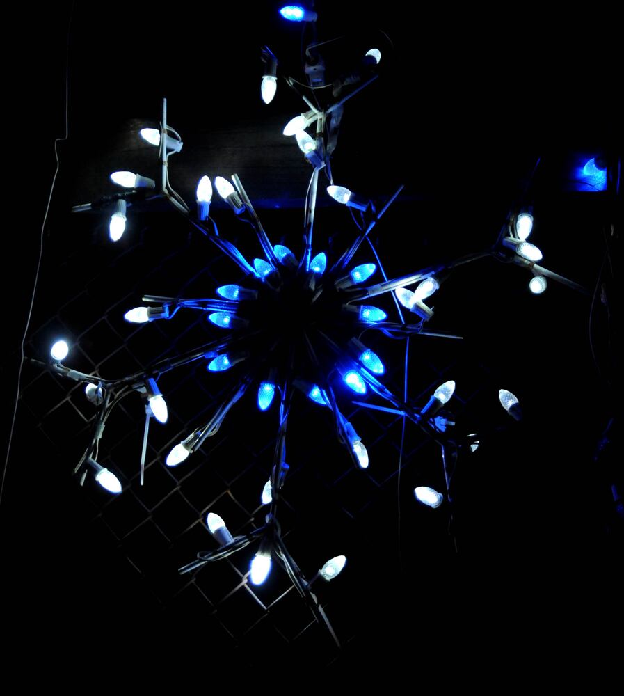PHOTOS: Did we spot you at opening night of Woodland Lights?