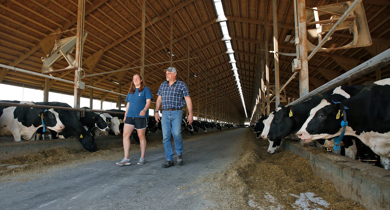 Mackenzie Bertke and her father Steve Buschur walk through the main dairy barn of  Buschur's Dairy Farm in Darke County.  Buschur and his three brothers are the third generation to run the family business. Bertke is an assistant with the genetics program at the farm.   TY GREENLEES / STAFF