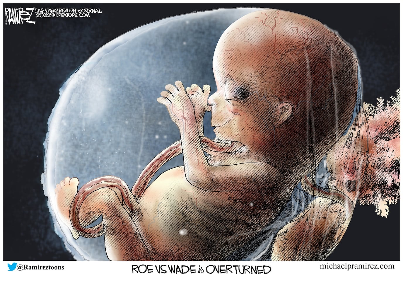 WEEK IN CARTOONS: Roe v. Wade overturned, inflation and more