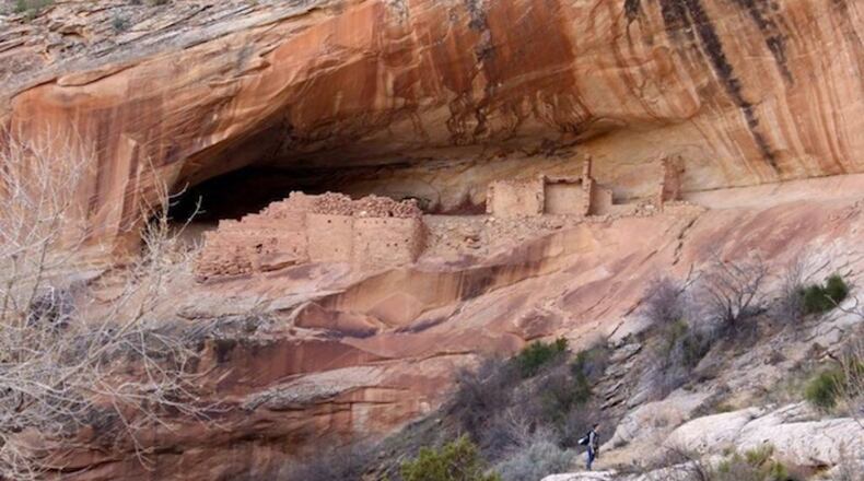 A hiker stands under a cliff dwelling in the Comb Ridge area of the new Bears Ears National Monument, in south Utah. President Barack Obama created the national monument before leaving office to protect Native American antiquities. Utah Republicans are lobbying the Trump administration to rescind the designation. (Stuart Leavenworth/McClatchy Washington Bureau/TNS)