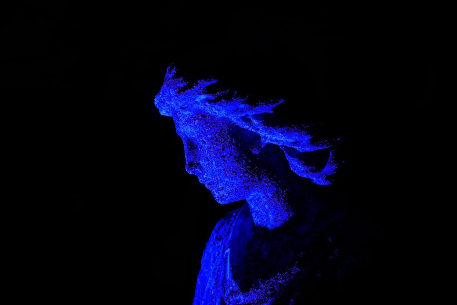 PHOTOS: Angel Night at Calvary Cemetery