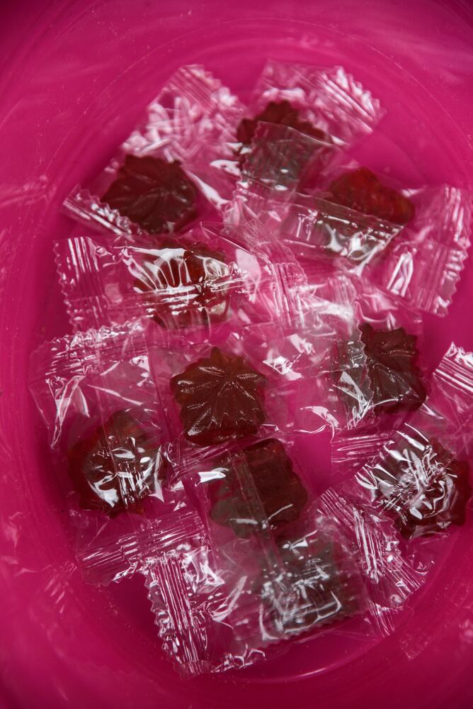 PHOTOS: Did we spot you having a sweet time at Sugar Maple Festival?