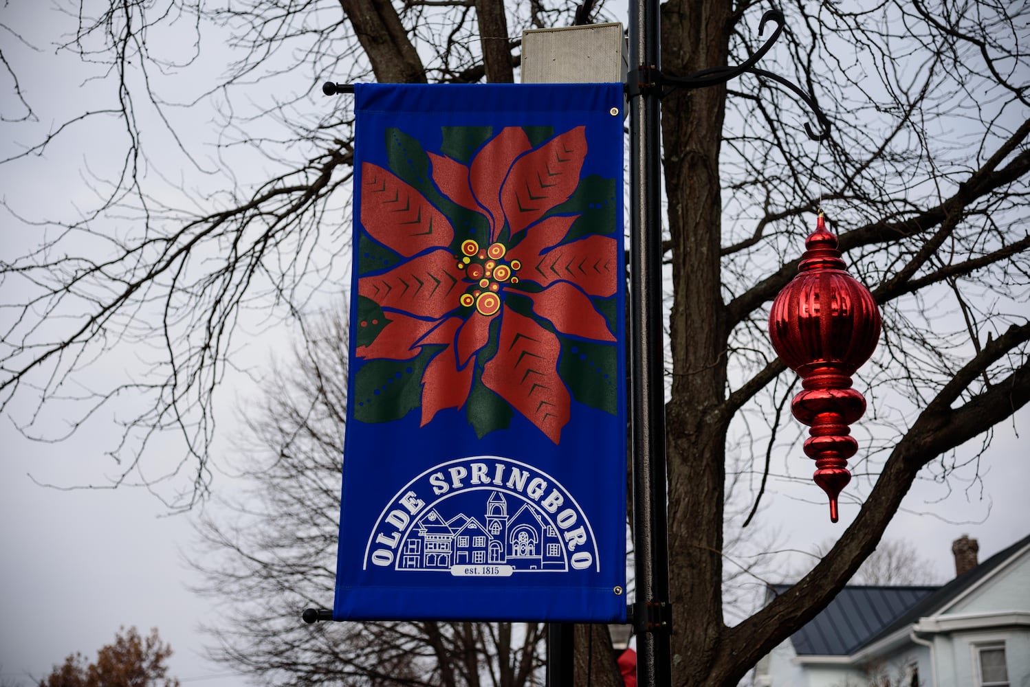 PHOTOS: Did we spot you at the Christmas in Historic Springboro Festival?