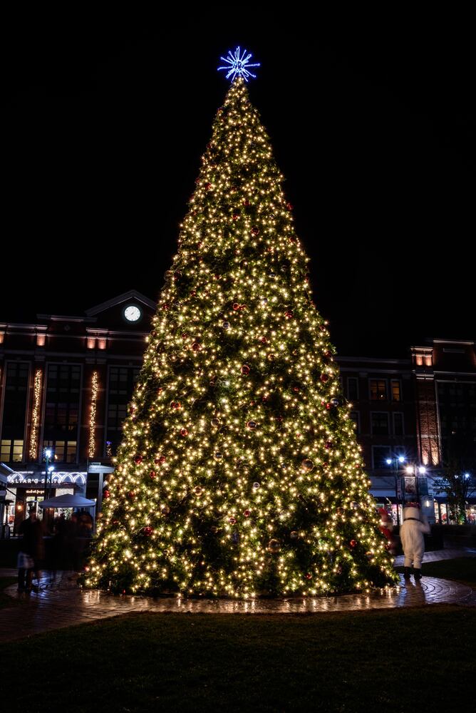 PHOTOS: Did we spot you at The Greene’s Christmas tree lighting?