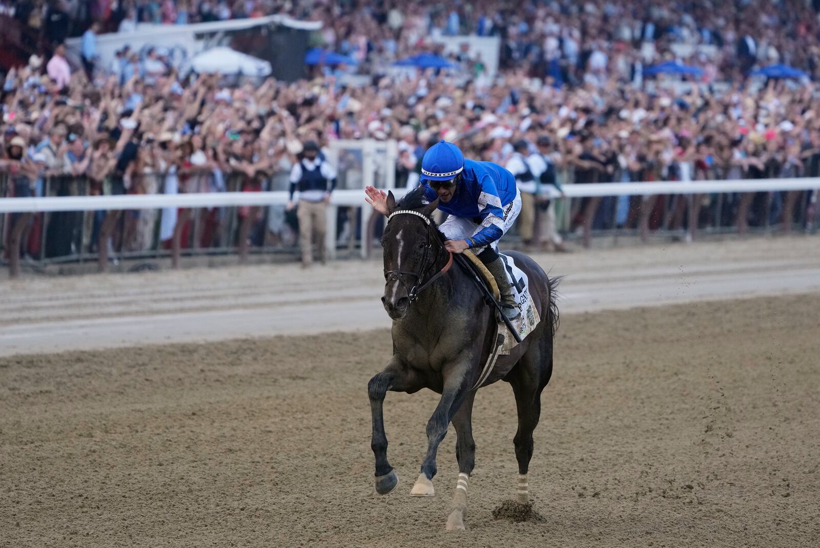 Jockey Junior Alvarado reacts aboard Sovereignty (2), as he crosses the finish line to win the 157th running of the Belmont Stakes horse race, Saturday, June 7, 2025, in Saratoga Springs, N.Y. (AP Photo/Seth Wenig)