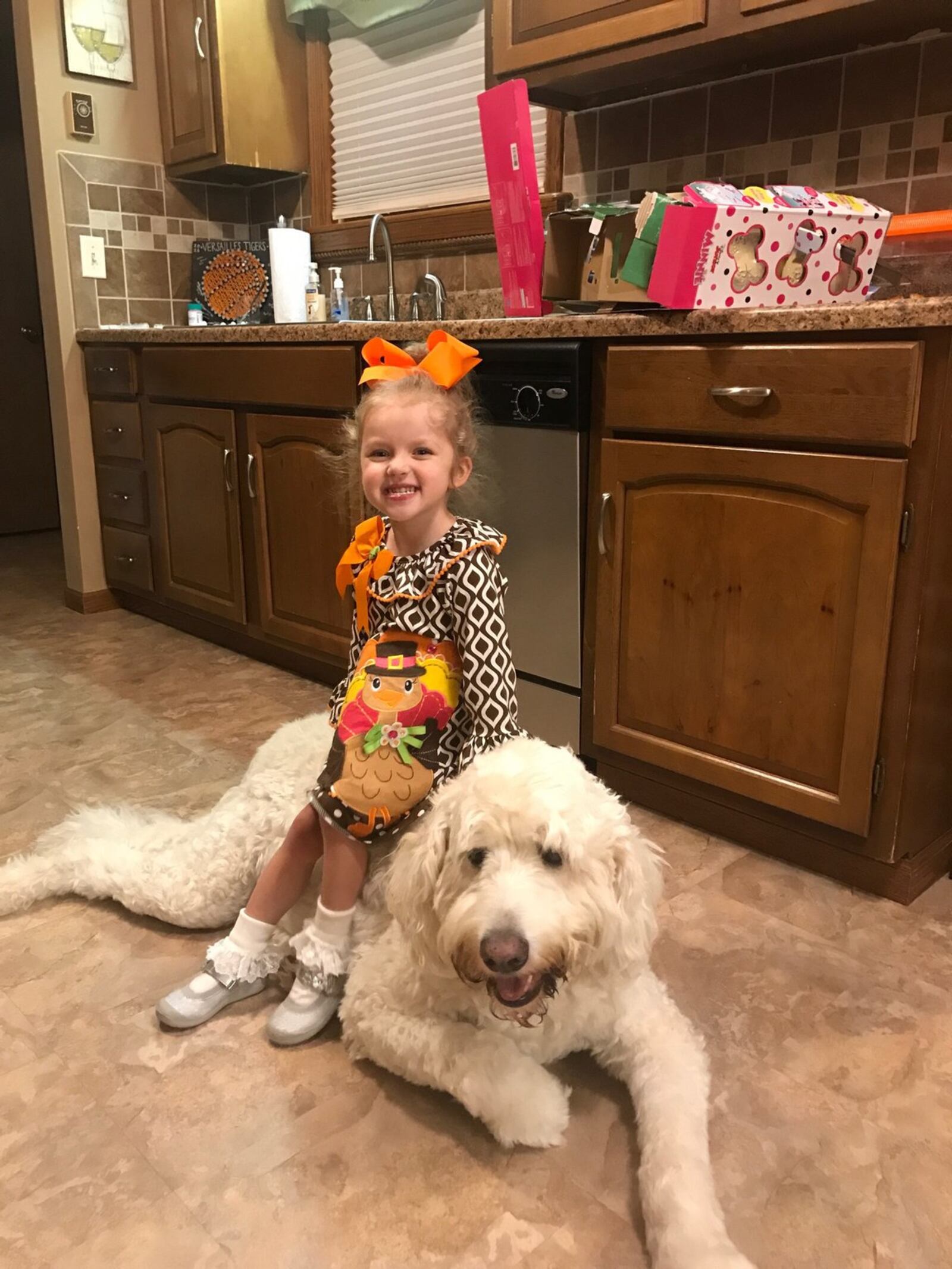 Samie Swank in her Thanksgiving dress sitting atop her dog Gus, a 120-pound goldendoodle, in the kitchen of the family home in rural Darke County southwest of Versailles. KATIE SWANK/CONTRIBUTED PHOTO