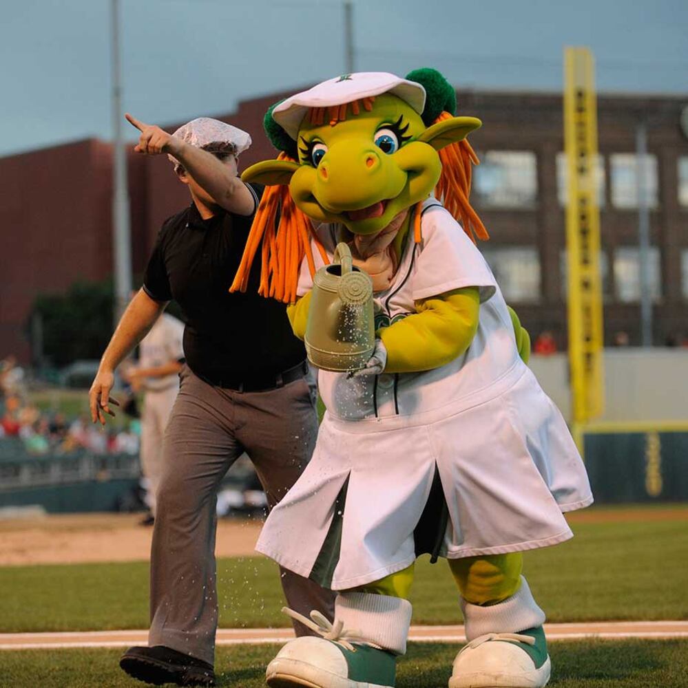 Dayton Dragons vs. West Michigan Whitecaps