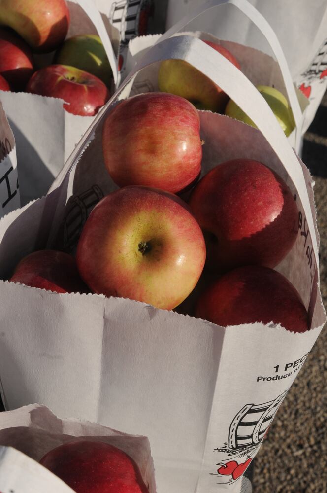 PHOTOS: Did we spot you at Lebanon Country Applefest?