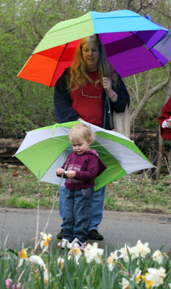 Spring Bulb Festival