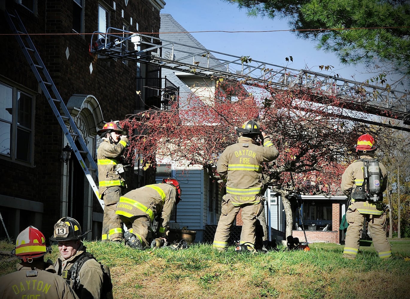 PHOTOS: Cats rescued from Dayton apartment fire