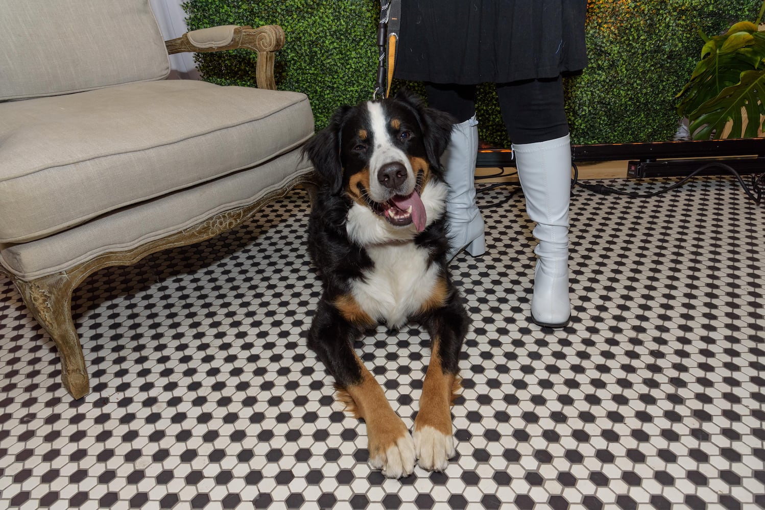 PHOTOS: Did we spot you at the Pet Afflaire Gala at the Dayton Arcade?