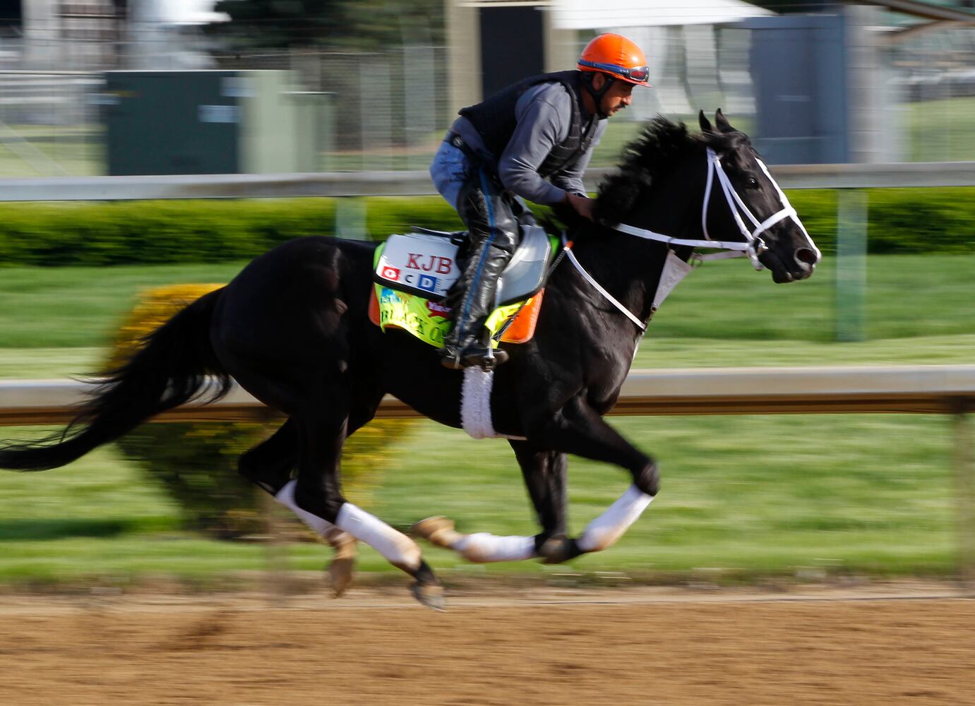 1. Black Onyx (SCRATCHED)