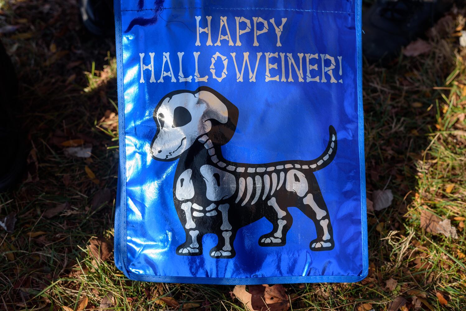 PHOTOS: Did we spot you and your dog at Wag-O-Ween at the Kettering Recreation Center?