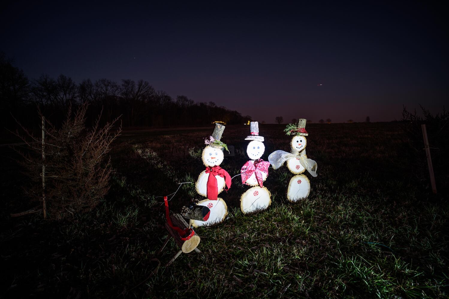 PHOTOS: Holiday Lights dazzle at Lost Creek Reserve in Troy