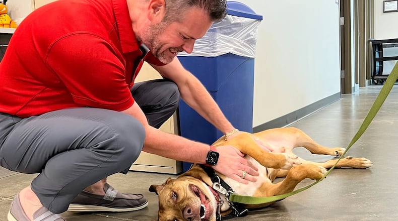 Jack Omer, named SICSA's next president and CEO, is shown giving belly pats to a shelter dog at the SICSA Pet Adoption & Wellness Center in Washington Twp. CONTRIBUTED