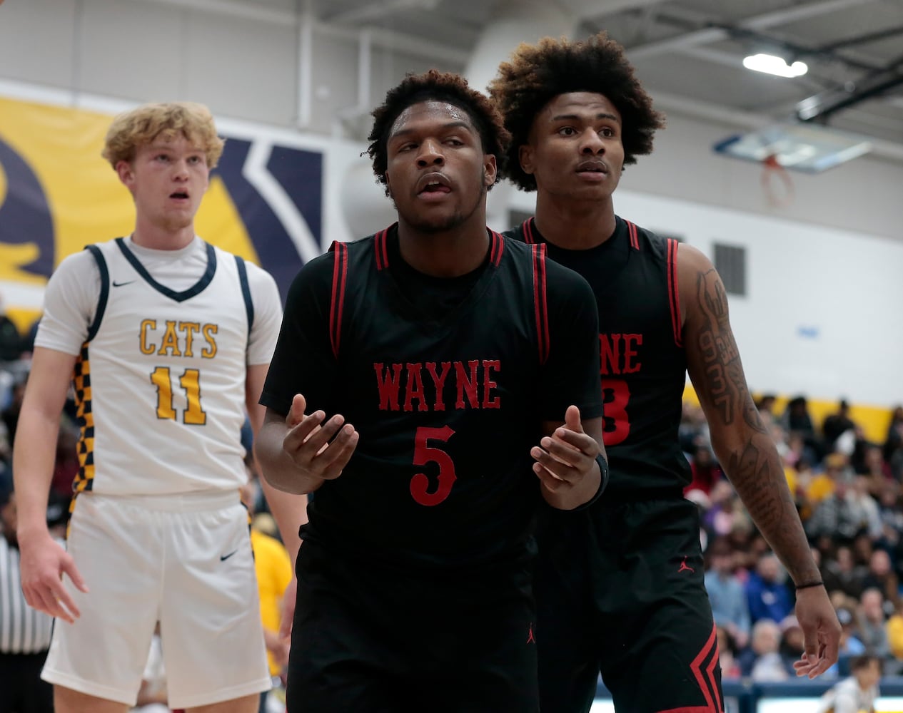 Wayne Springfield basketball