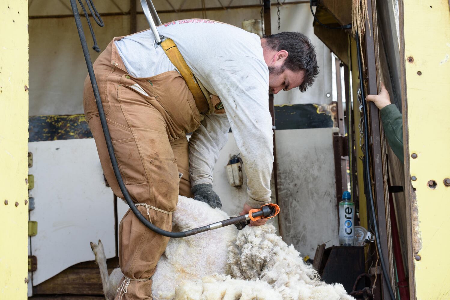 PHOTOS: Wooly Wonders - Spring on the Farm Family Event at Learning Tree Farm