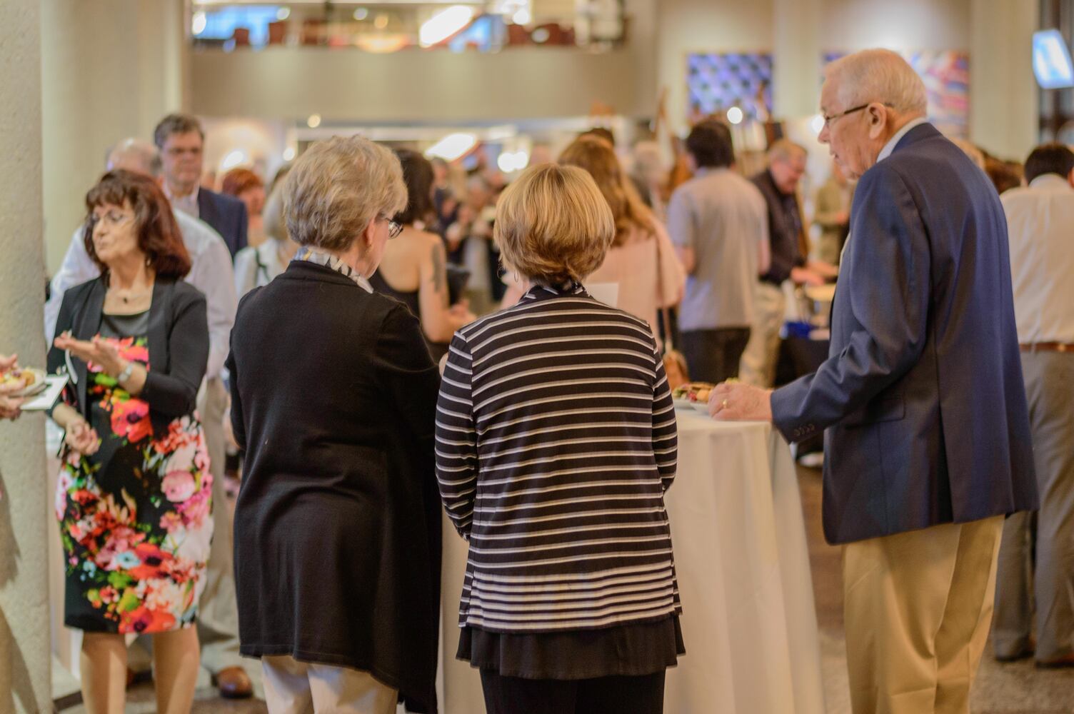 PHOTOS: DVAC Art Auction 2017