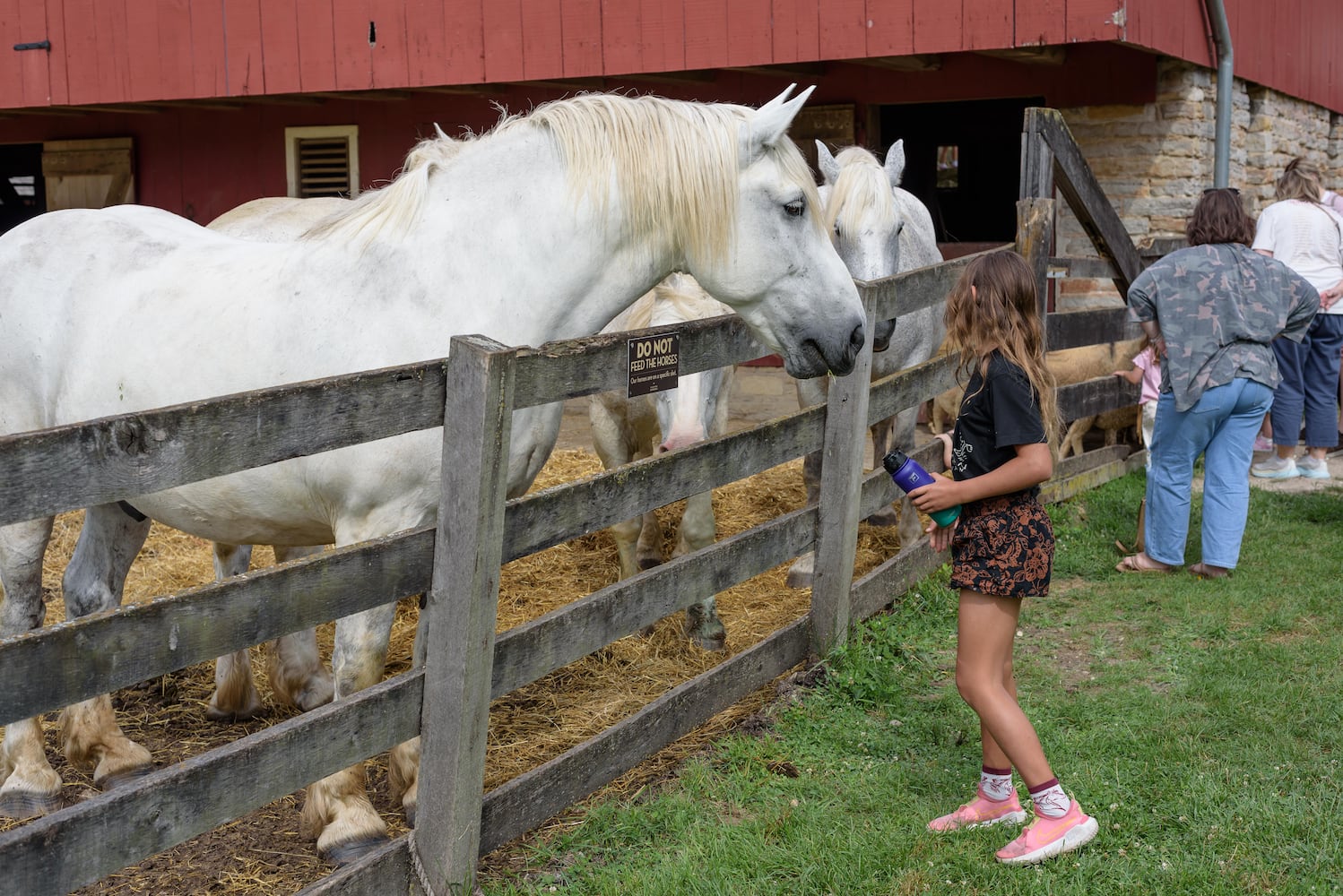 PHOTOS: 2025 Small Farm & Food Fest at Carriage Hill MetroPark
