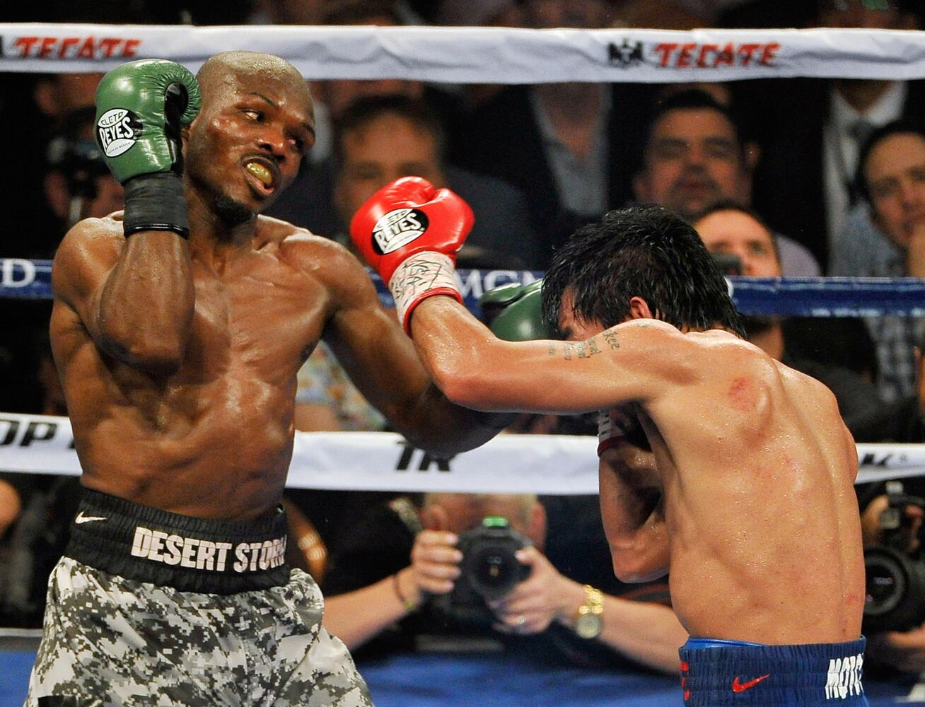 Fight for WBO welterweight title