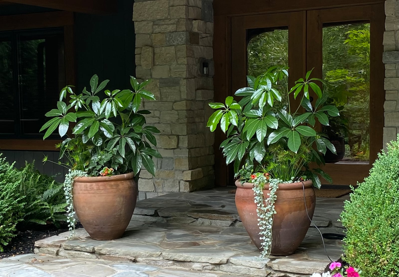 Guests are welcomed to this home with large matching urns containing seasonal plantings flanking the front porch.
Photo: Kimberly Robinson