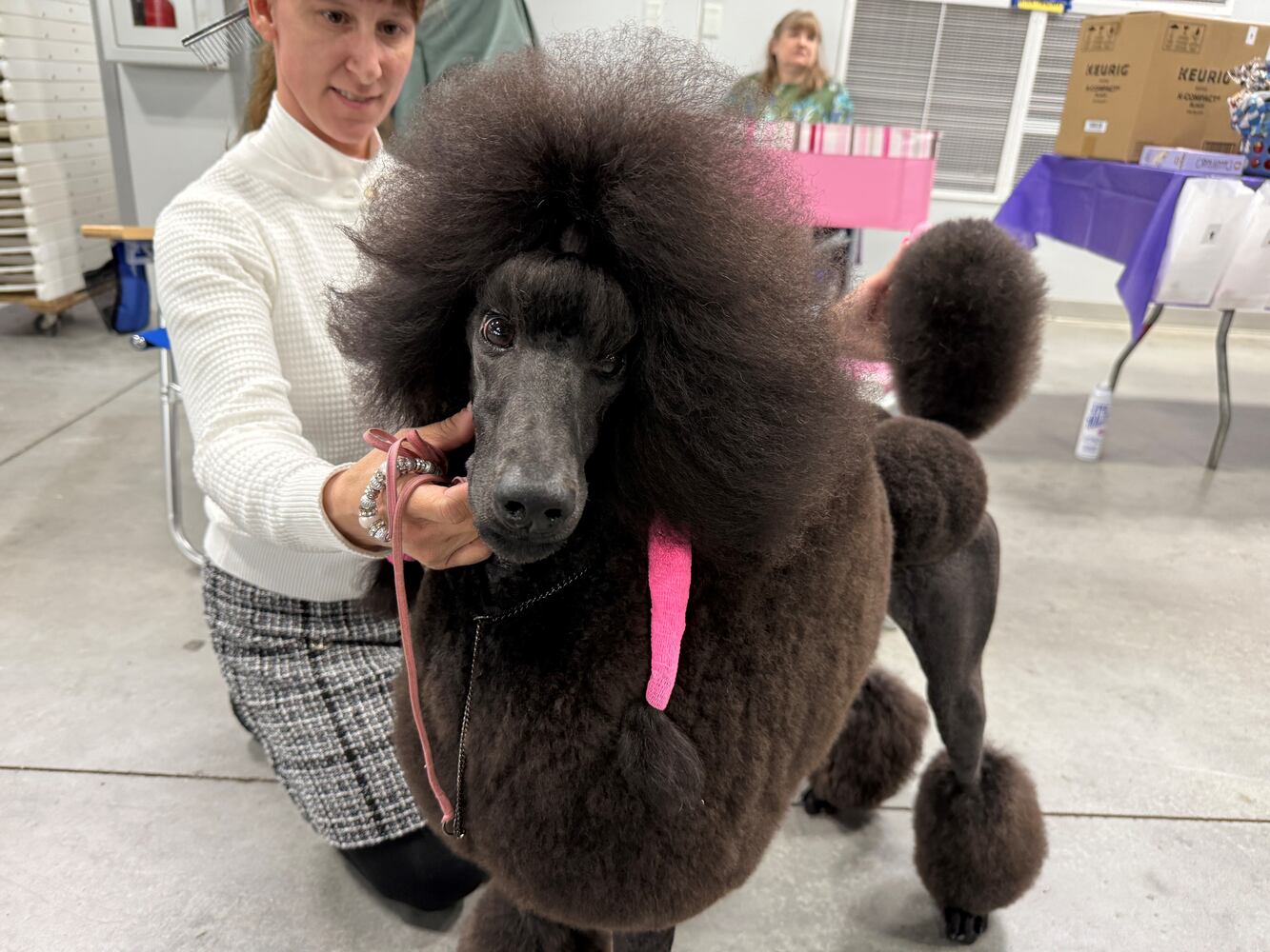 Fort St. Clair Kennel Club Dog Show
