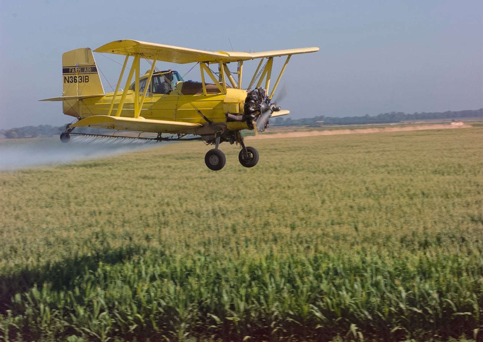 Bill Porter sprays sweet corn in Sacramento, California, 1997.