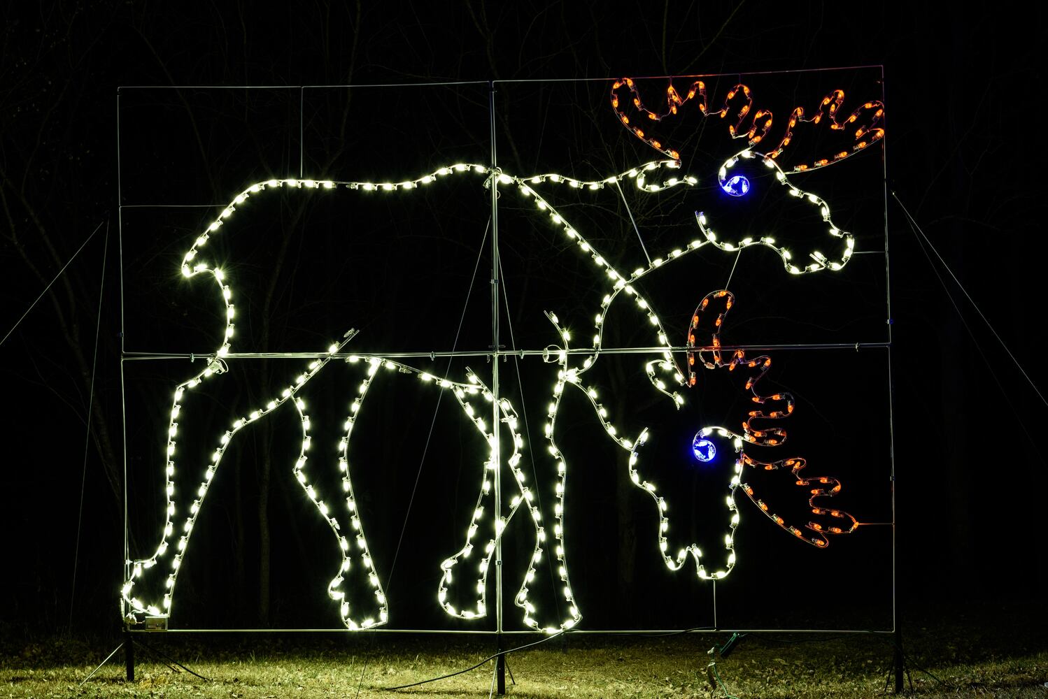 PHOTOS: ParkLights at Caesar Ford Park