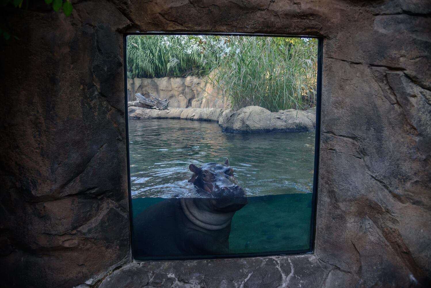 BEHIND THE SCENES: Take a look at what Fiona and Bibi are up to after hours