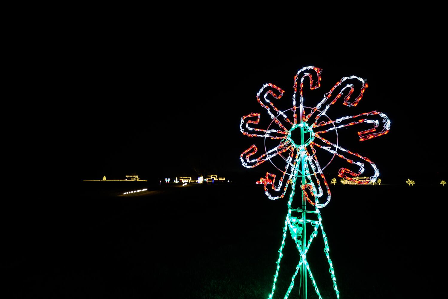 PHOTOS: Holiday Lights dazzle at Lost Creek Reserve in Troy