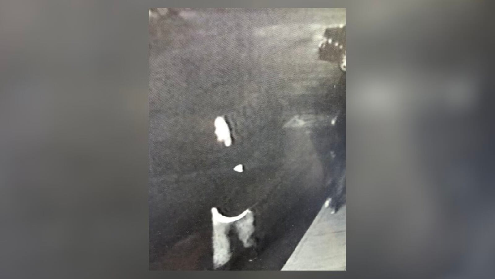Contributed Photo/Sidney Police Twitter