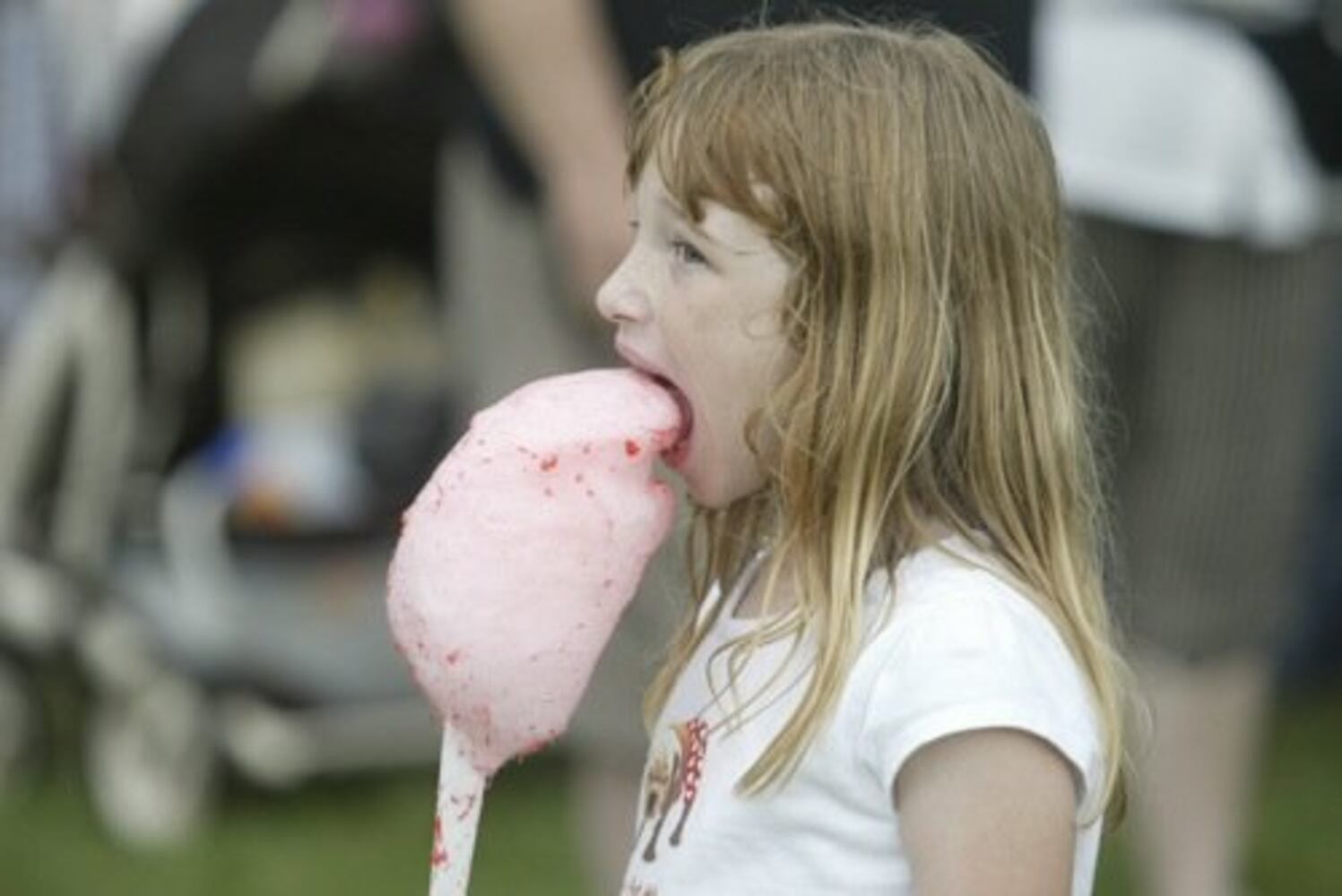 Troy Strawberry Festival 2010