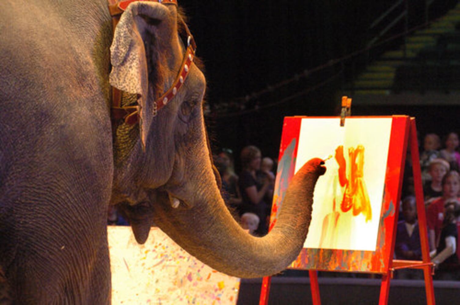 Circus comes to the Nutter Center