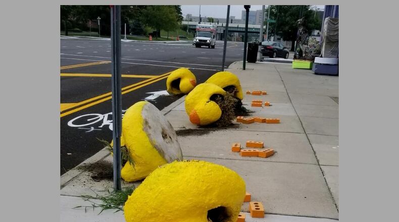 Ducks outside of K12 Gallery and Tejas were damaged sometime after 2:15 a.m. Saturday, Sept. 15.