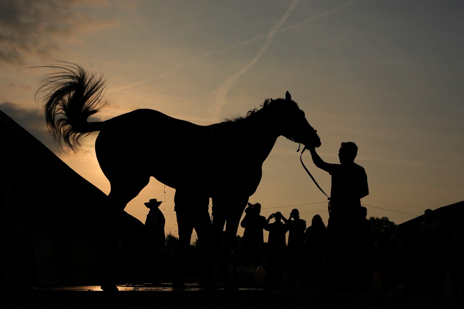 Kentucky Derby entrant Journalism gets a bath after a workout at Churchill Downs Tuesday, April 29, 2025, in Louisville, Ky. (AP Photo/Charlie Riedel)