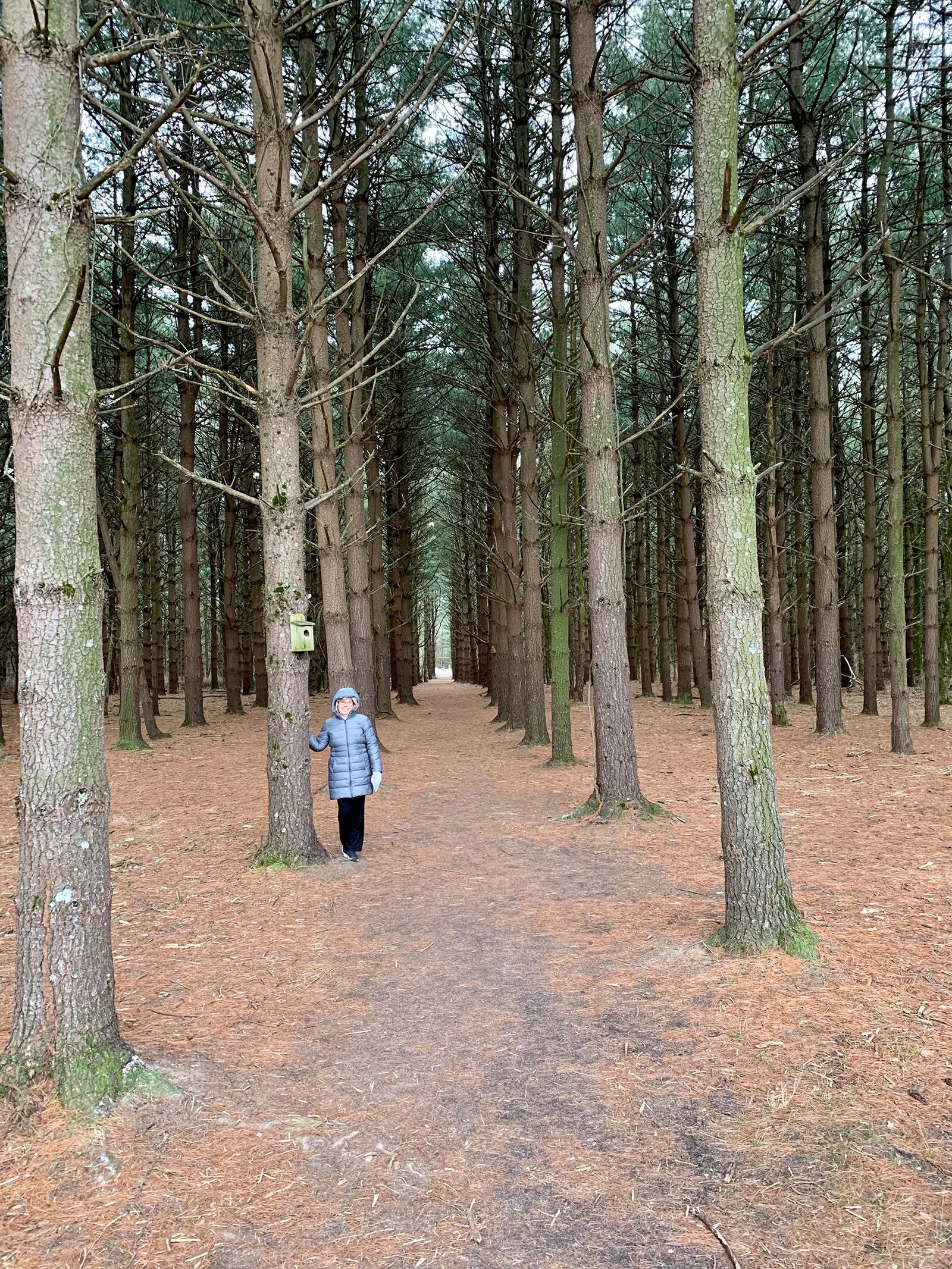 Barb Hess at Daniel's Peace Park in Germantown. This park was dedicated to a young man who lost his life due to a drug overdose.