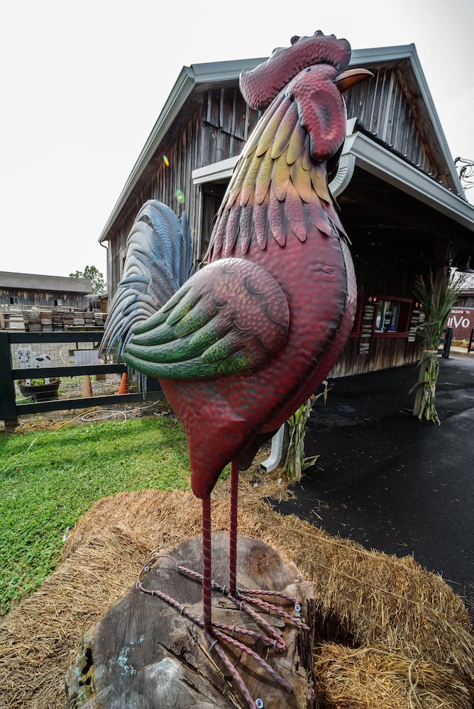 Hidden Valley Orchards