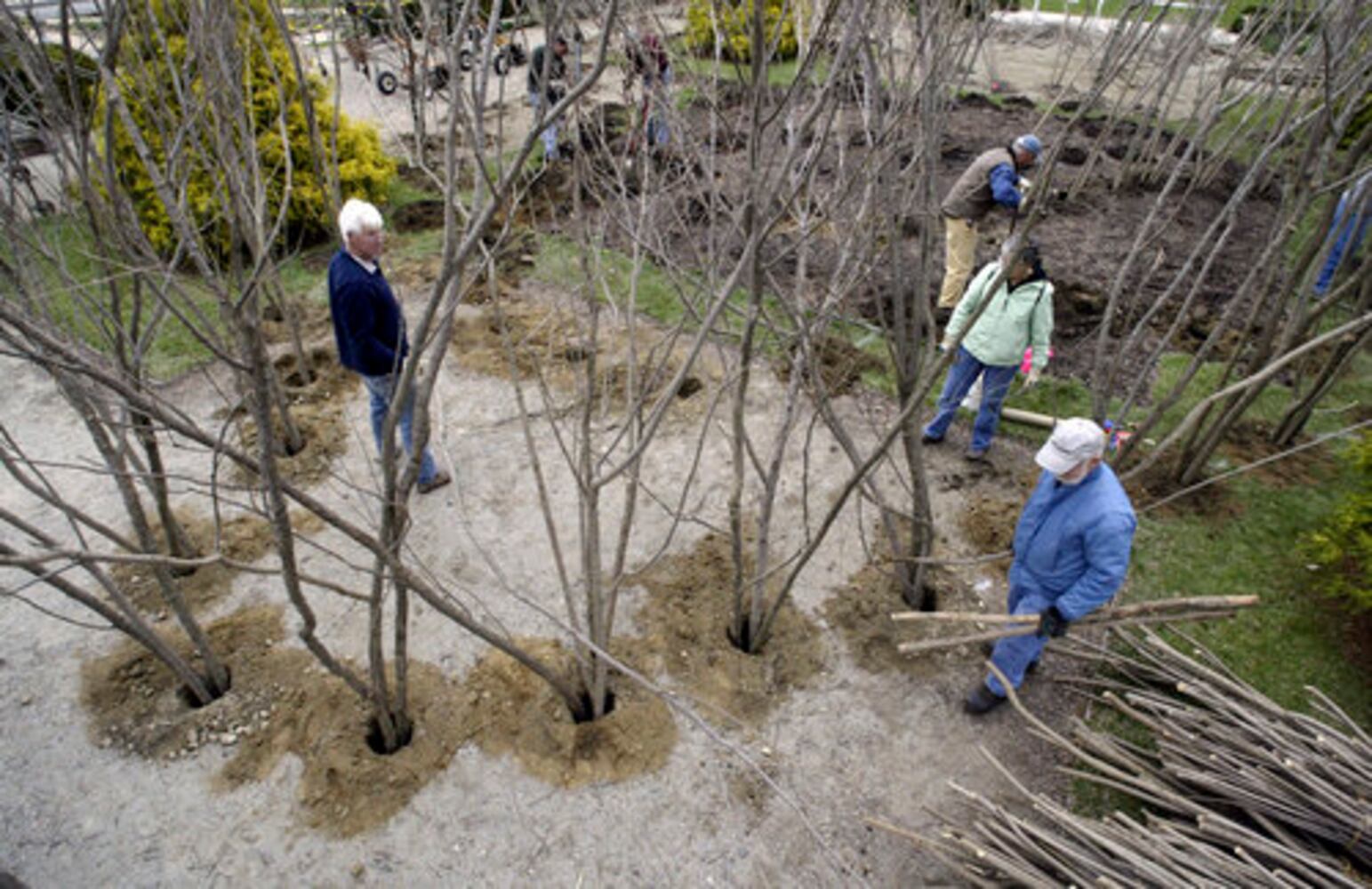 "Woven Wood" artist Patrick Dougherty
