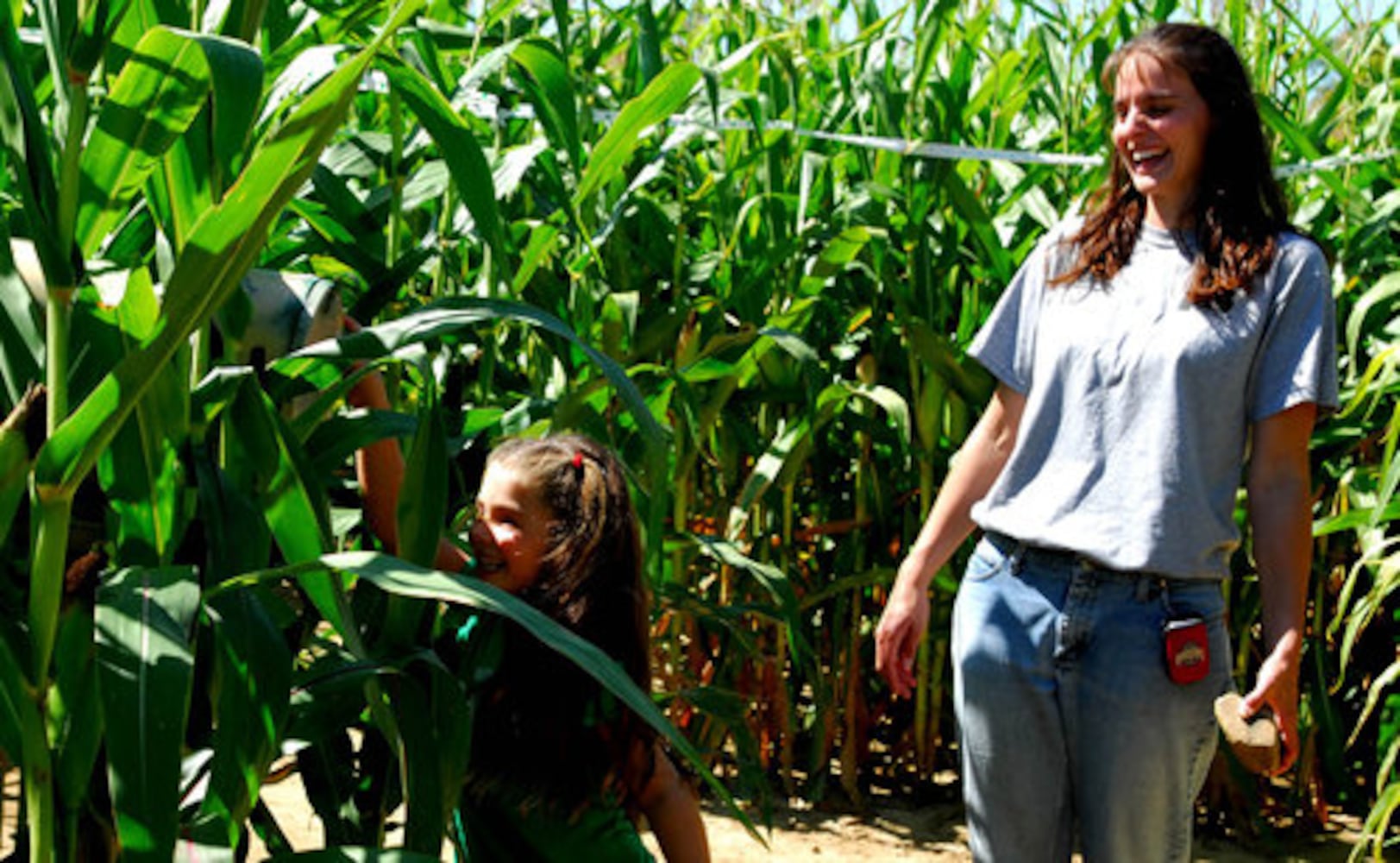 Tom's Maze corn maze opens