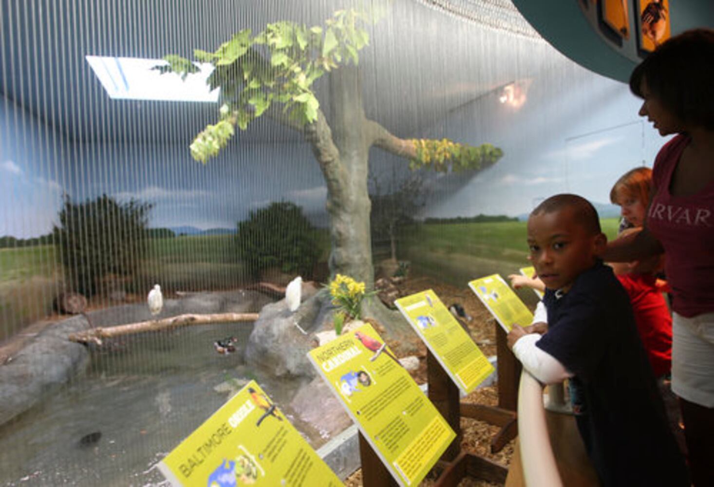 Boonshoft's Discovery Zoo opens