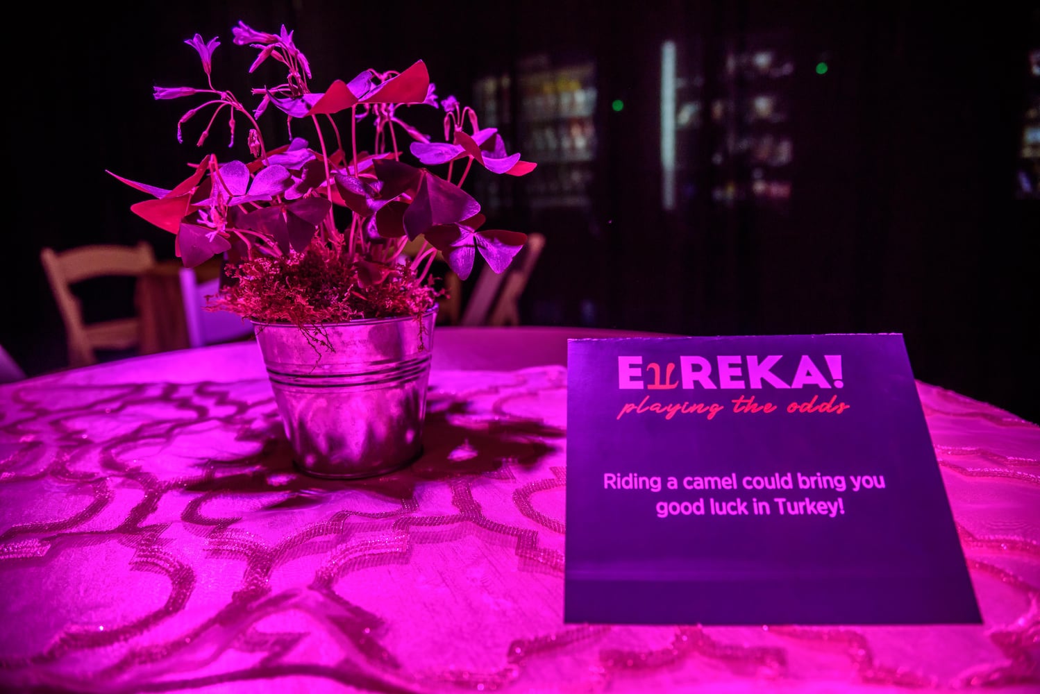 PHOTOS: EUREKA! A science experiment for grown-ups