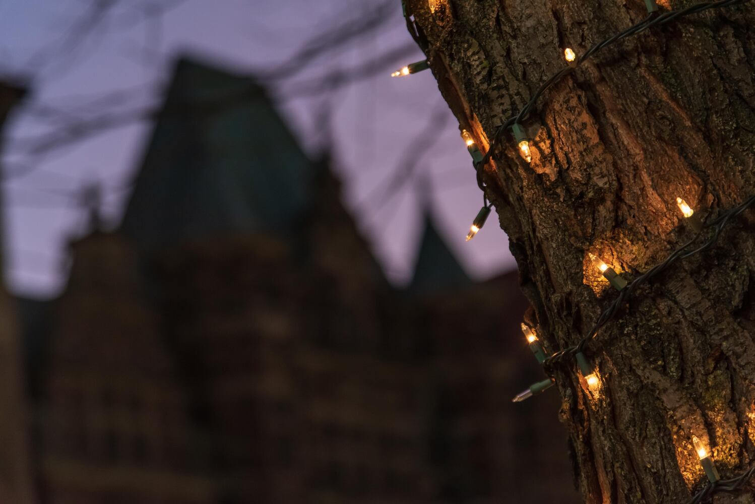 PHOTOS: Did we spot you at the 50th Annual Dayton Holiday Festival in downtown Dayton?