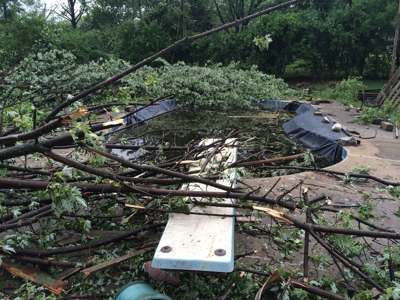 Storm damages trees, houses