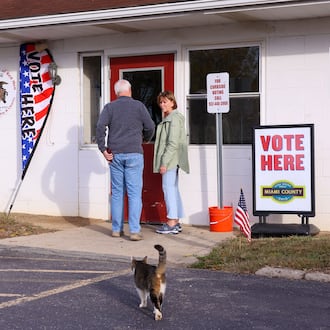 Voters headed to the polls across the area on Tuesday, Nov. 4, including at Redman's Picnic Grounds in Troy. A cat, who poll workers said lives nearby, was greeting voters who were entering the precinct. Poll workers said the cat has done the same on previous election days. BRYANT BILLING/STAFF
