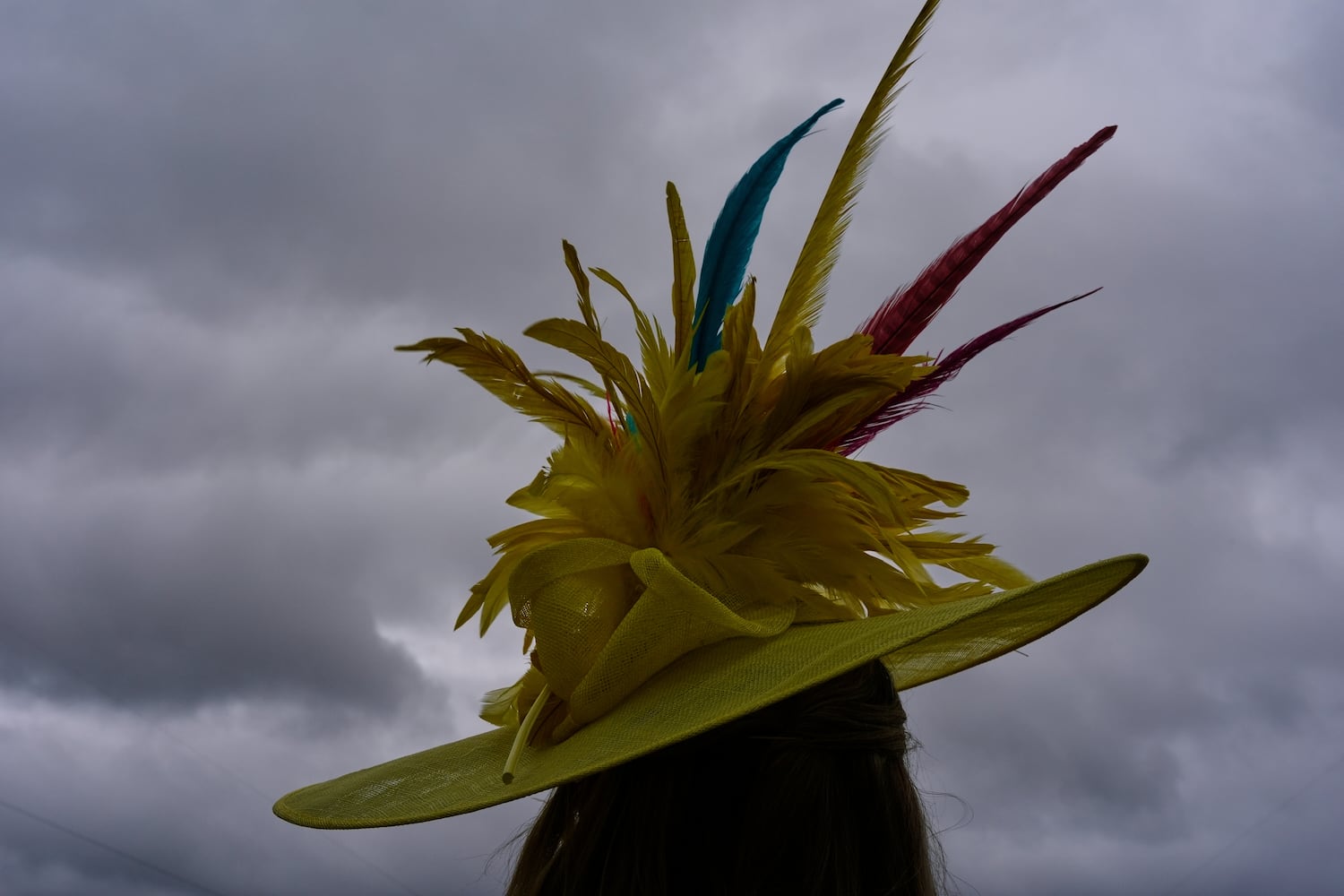 Kentucky Derby Horse Racing