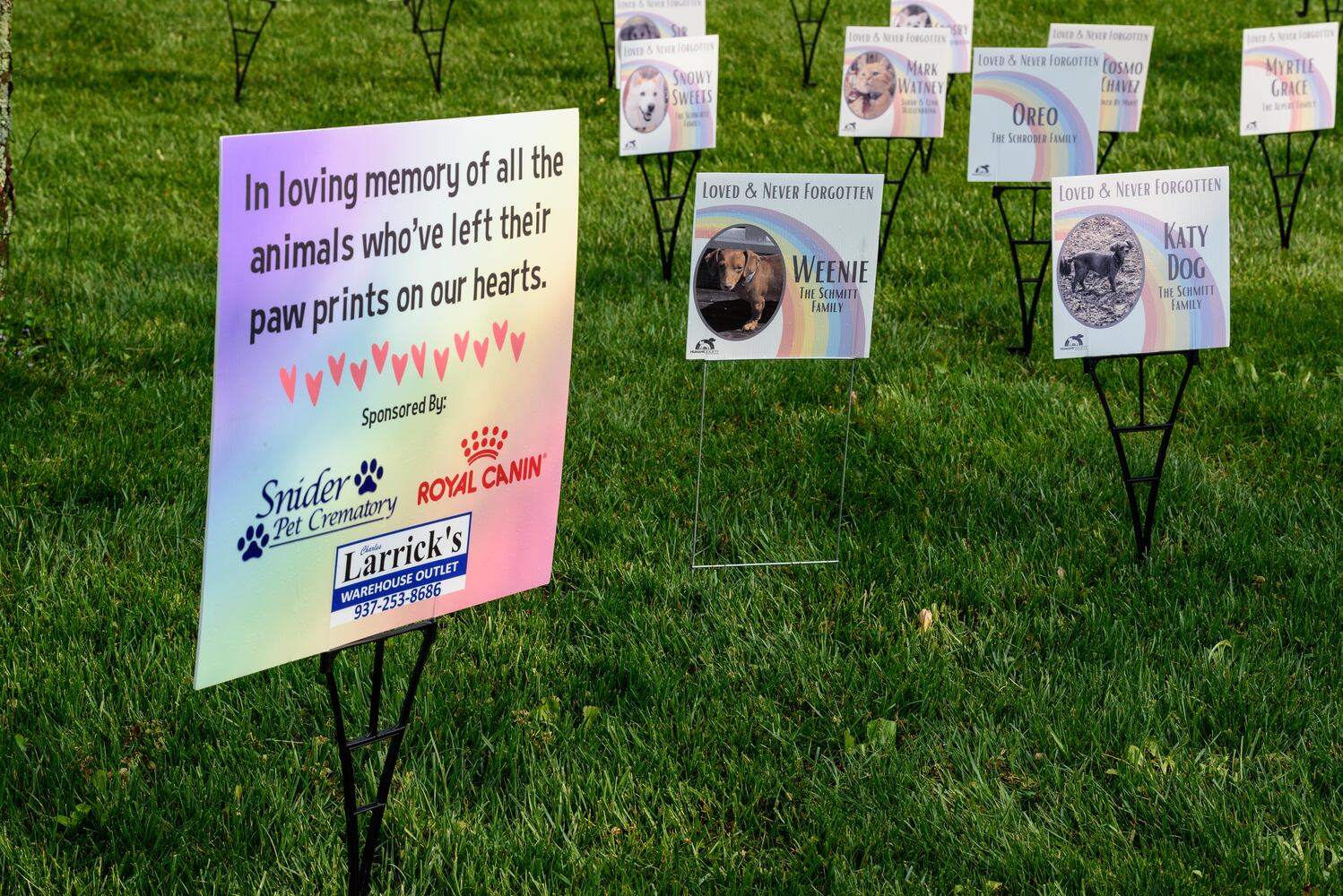 PHOTOS: Did we spot you at the Furry Skurry 5K at Stubbs Park in Centerville?