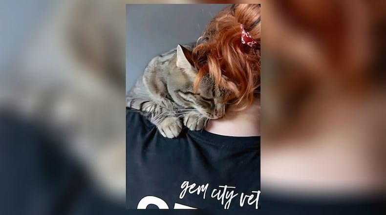 Bellenger saying goodbye to her foster cat "Ferris Mewler" before his adoption in August of 2024.