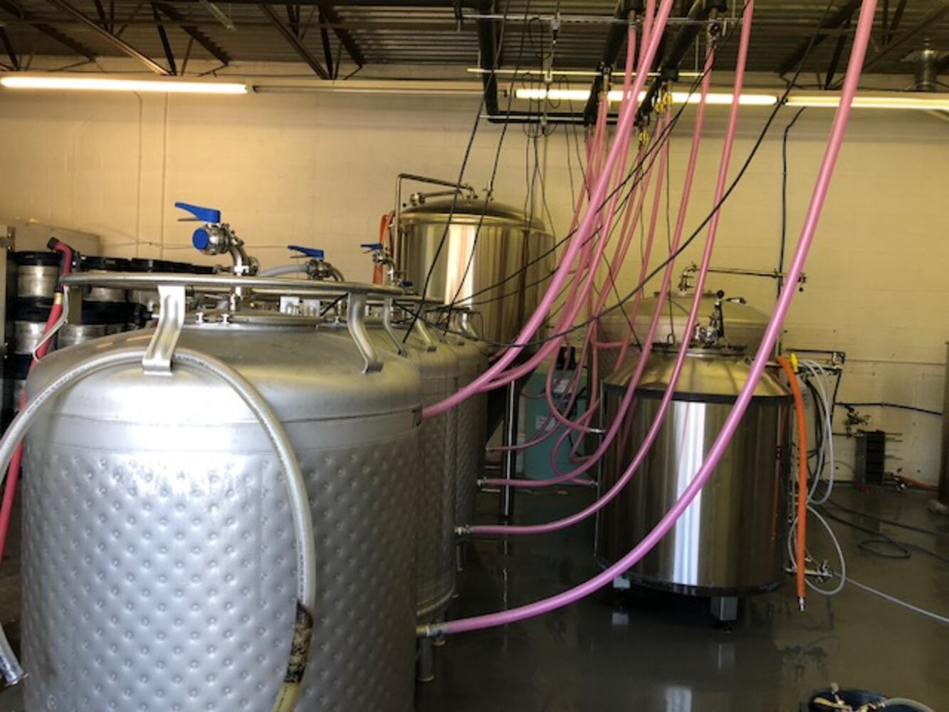 Branch and Bone brewery